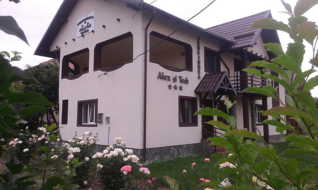Pensiunea Alex Si Tedi Horezu Rom bilde