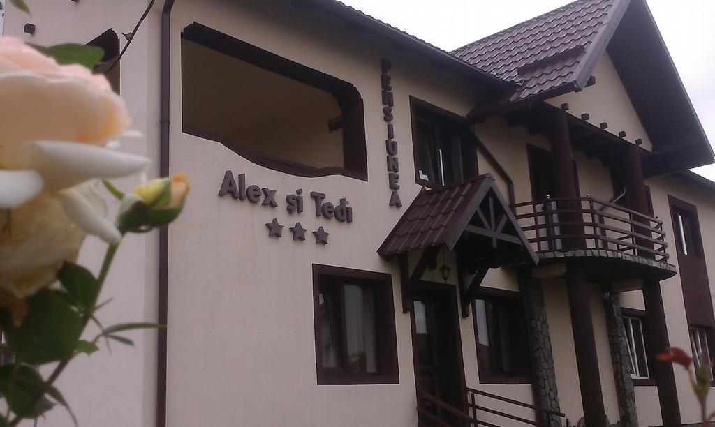 Pensiunea Alex Si Tedi Horezu Eksteriør bilde